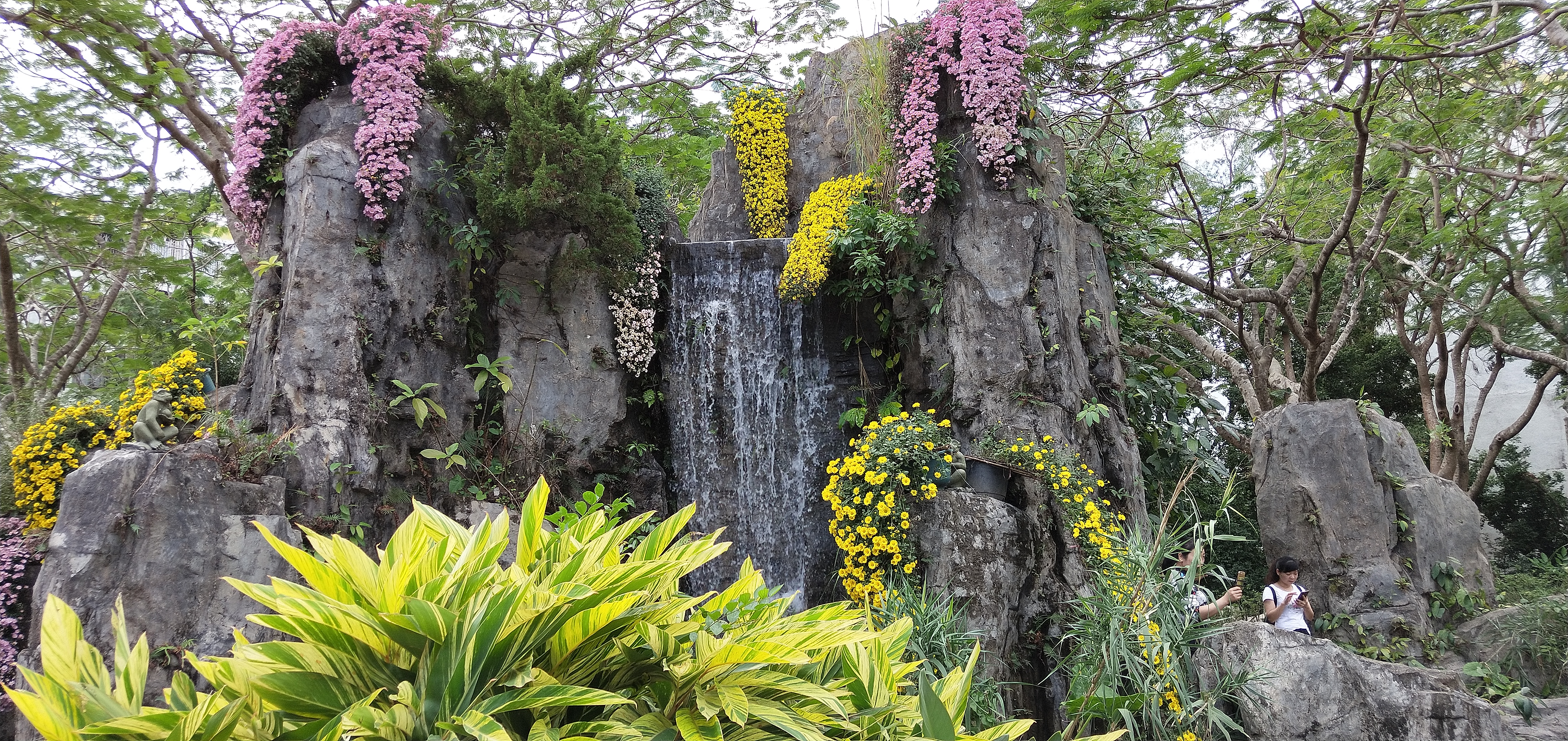 东湖公园菊花花展时间2021,深圳东湖荷节花展
