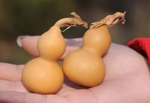 文玩葫芦抛光后还会变色吗,文玩葫芦手盘多久变红