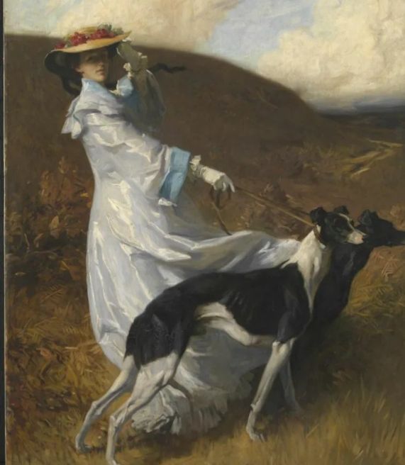 俄罗斯猎狼犬打斗,俄罗斯猎狼犬捕狼视频