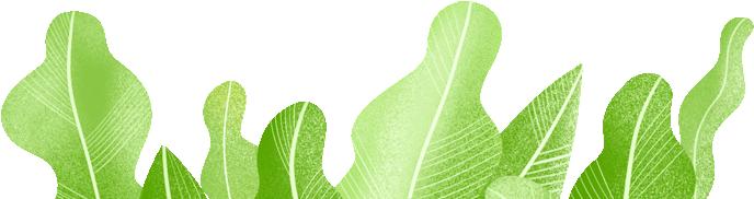 南京市足球后备人才示范学校,福建省足球示范校