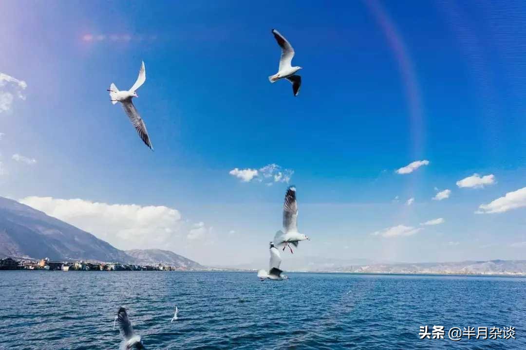 洱海被拆掉的那些海景客栈,洱海整顿还能游洱海吗