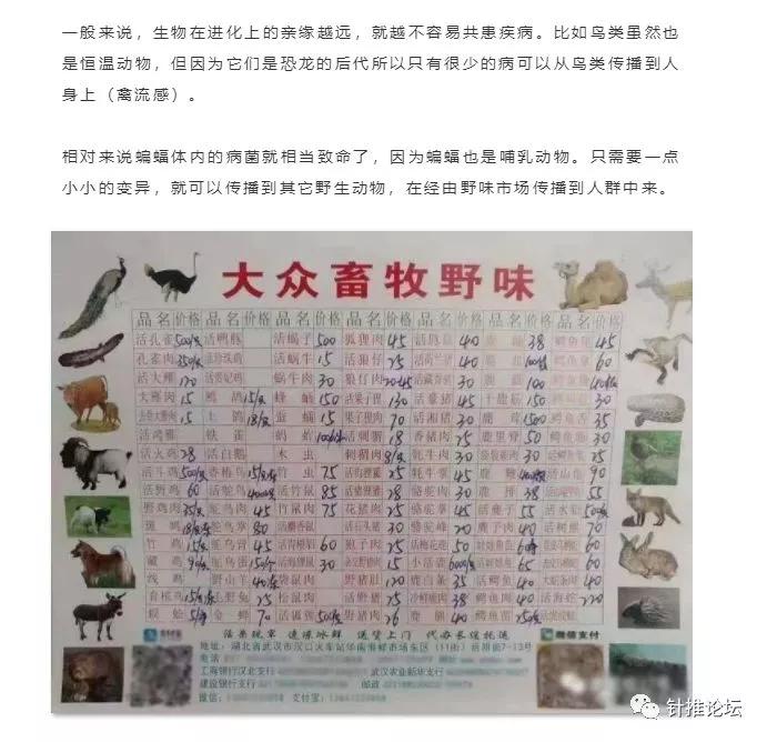 蝙蝠那么多病毒为什么不灭绝它,蝙蝠为什么是奇葩动物呢