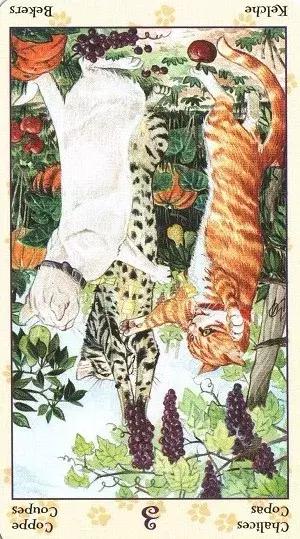 选一张牌看下一个人的感情,凭你第一直觉选一张牌金木水火土