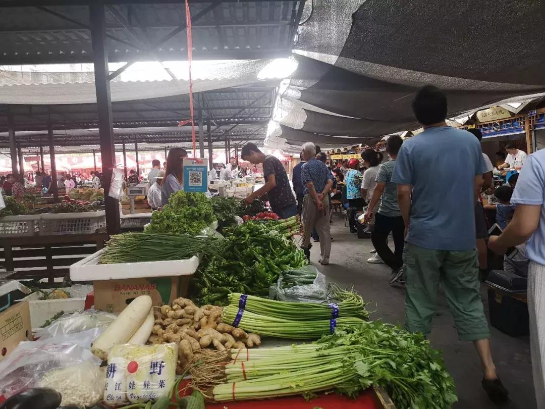 韩城市芝川镇神农葡萄庄园,韩城神农庄园葡萄酒电话