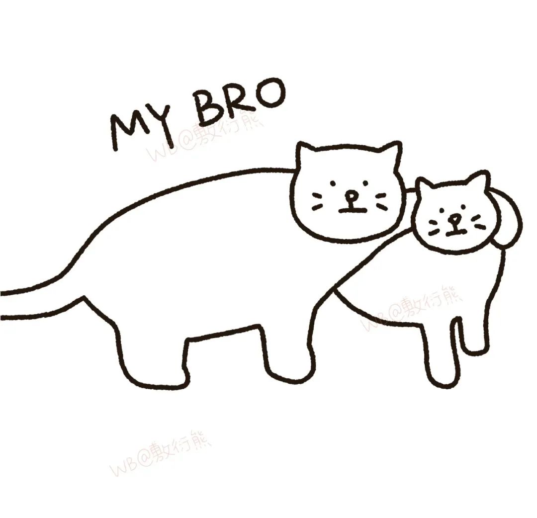 猫是只好猫，但被网友这么一弄…哈哈哈哈哈没脸见人了