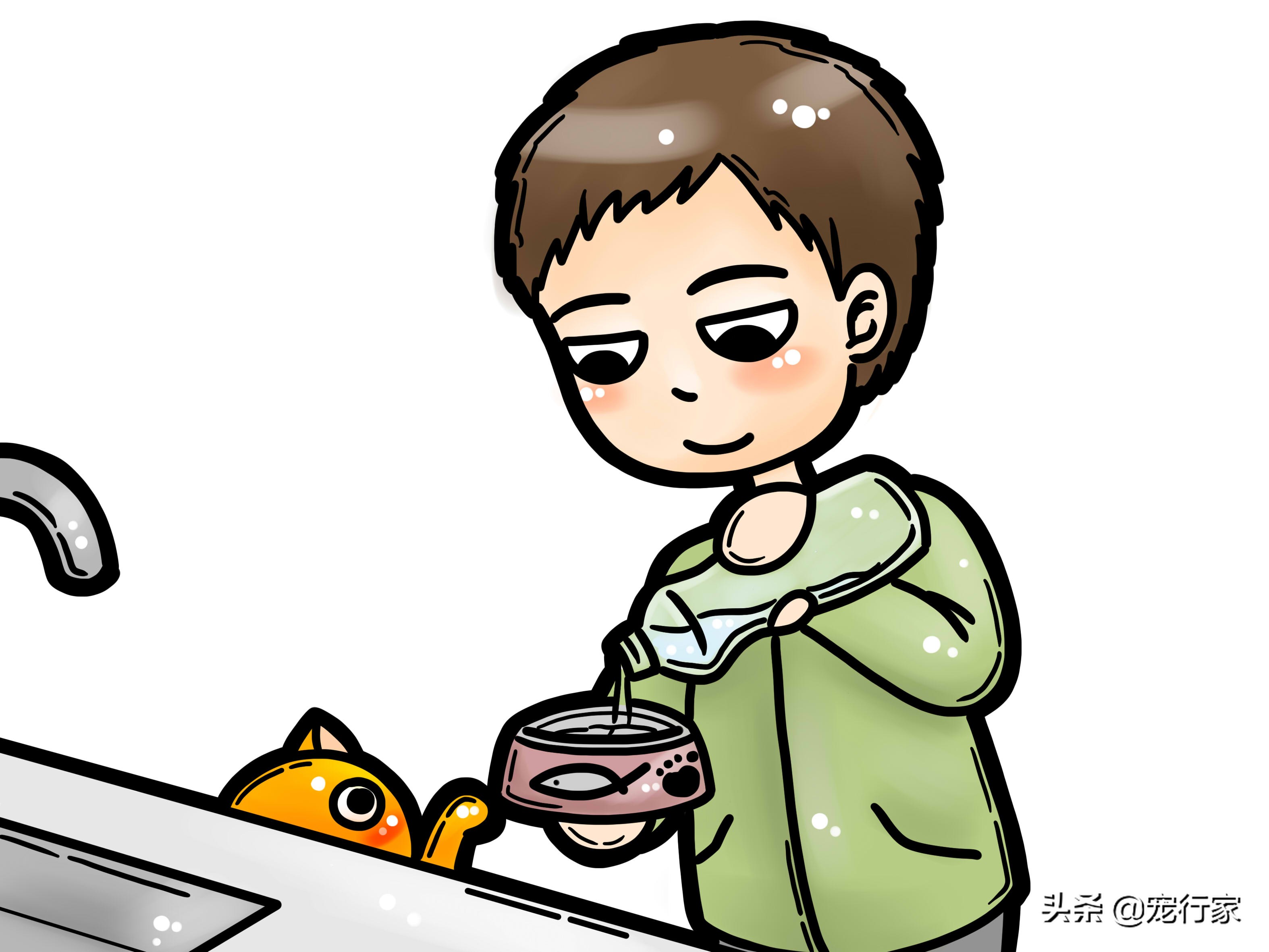 含水量多的食物可以帮猫咪预防膀胱炎！减少猫咪痛苦，节省医药费