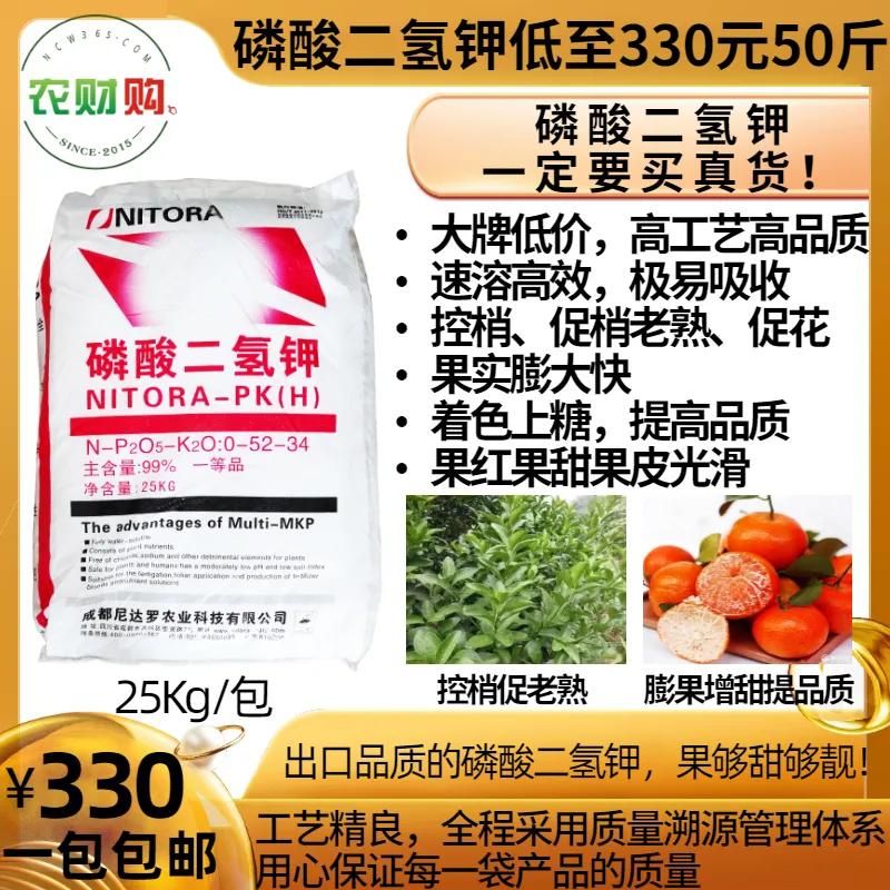 柑橘树现在落叶怎么回事,柑橘现在会黄落叶这是怎么了