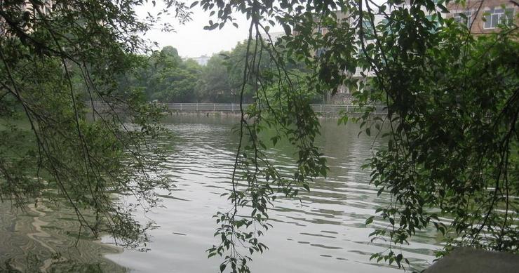 刘传说的真实故事,遂平民间故事蔡岗的传说