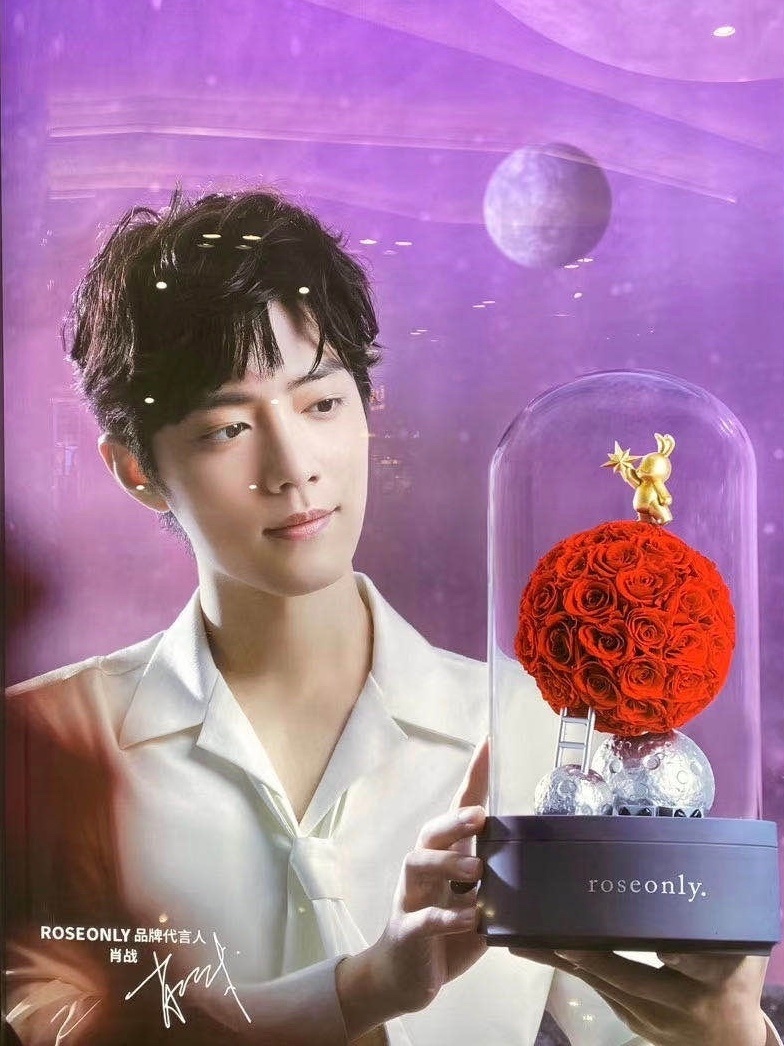 肖战代言roseonly直播间,肖战roseonly直播读信