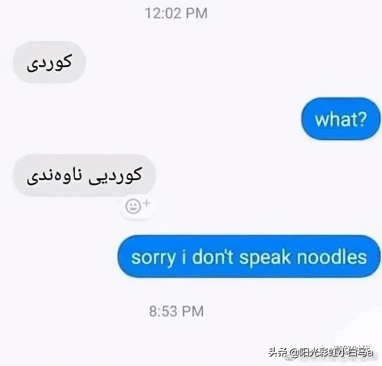 楼下的猫又开始叫了,楼下的猫一直在嗷嗷叫