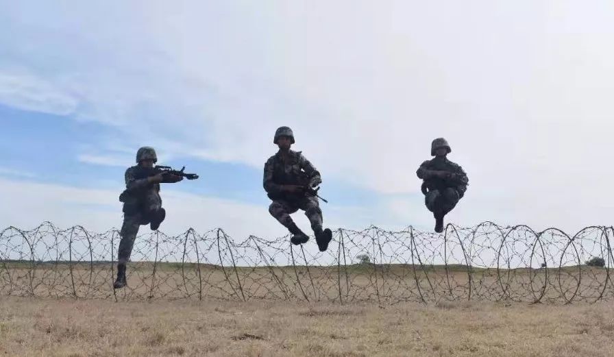 视点|看了才信!这个旅的“生命线”活力迸发