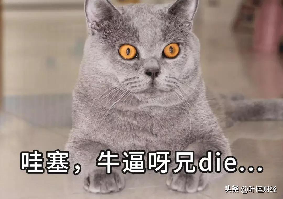 为什么京东方好,京东方的实力到底有多强