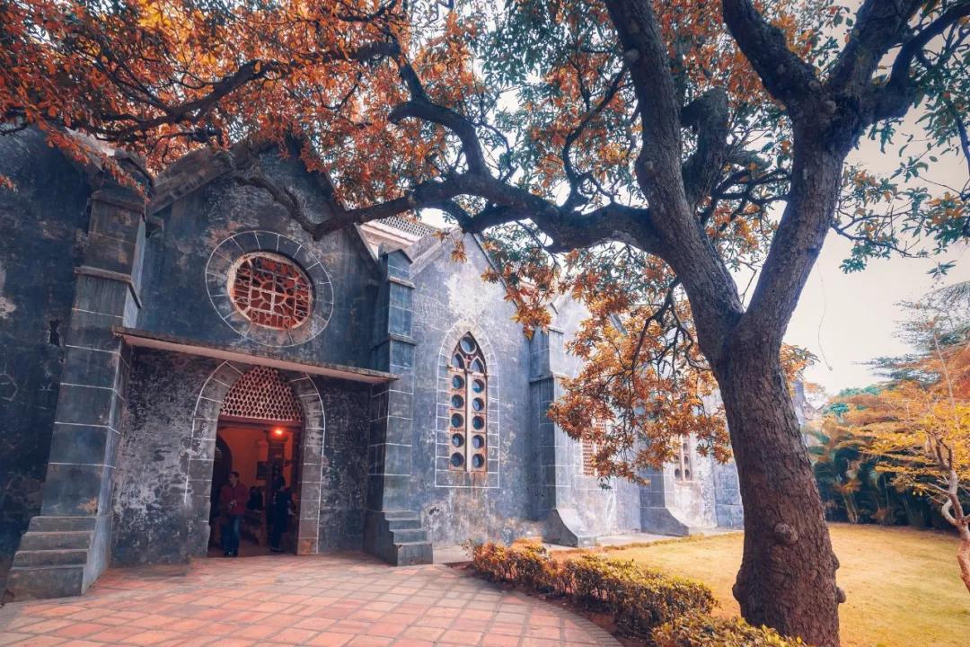 比鼓浪屿大12倍,比三亚安静10倍!这小岛最适合现在去,美轮美奂