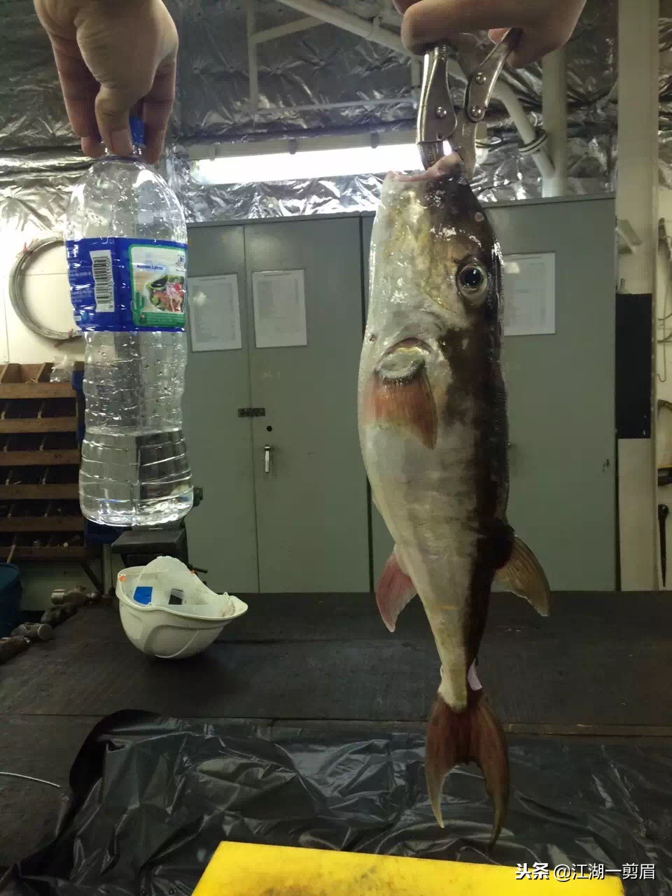 《海的女儿》故事,海的女儿故事简介150个字