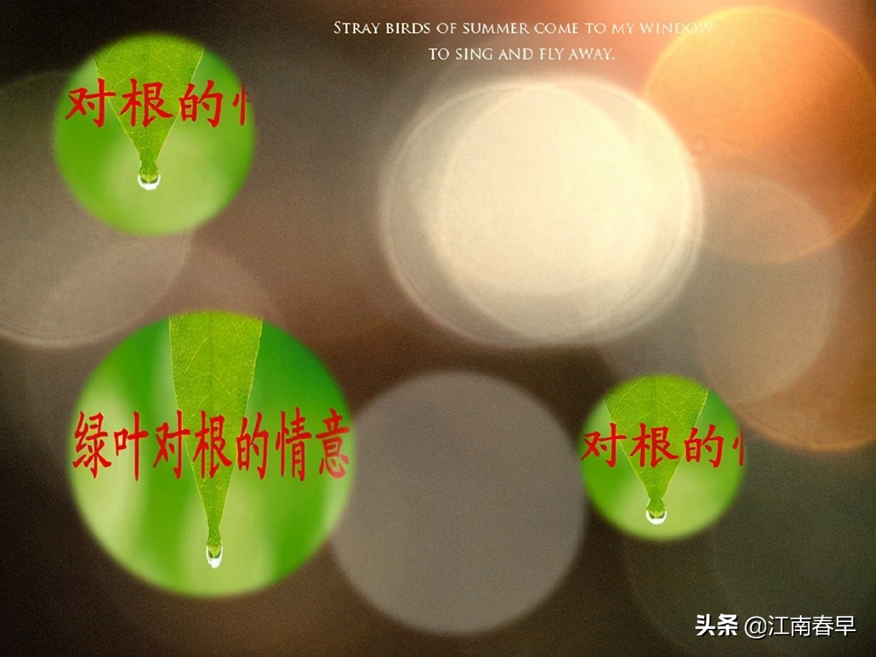 711便利店长期夜班,711便利店夜班是多少个小时