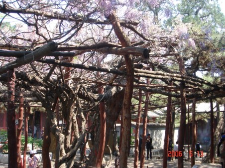 千年古刹红螺寺拍摄,红螺寺千年古刹