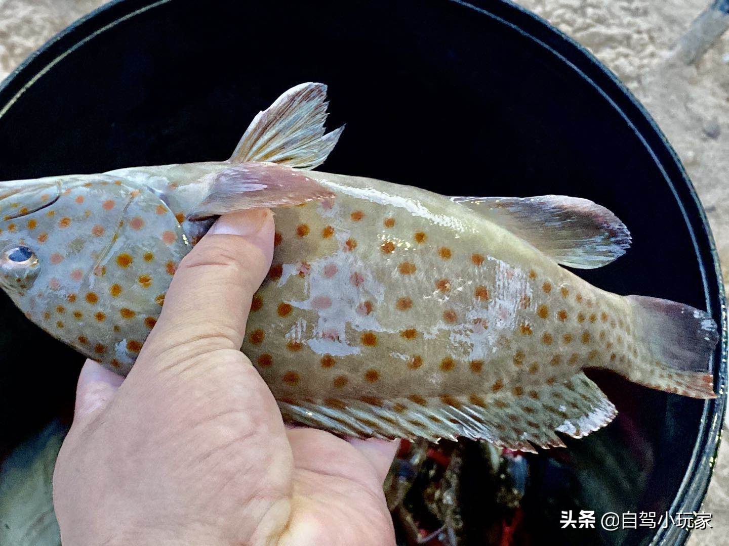 广州好玩的地方小众,广州小众景点排行榜