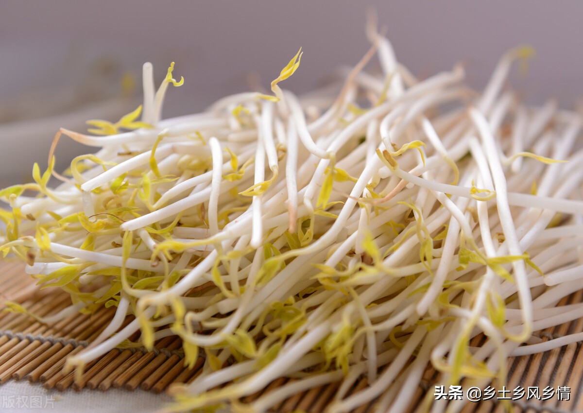 发豆芽的方法视频塑料瓶,发豆芽的简单方法小学生