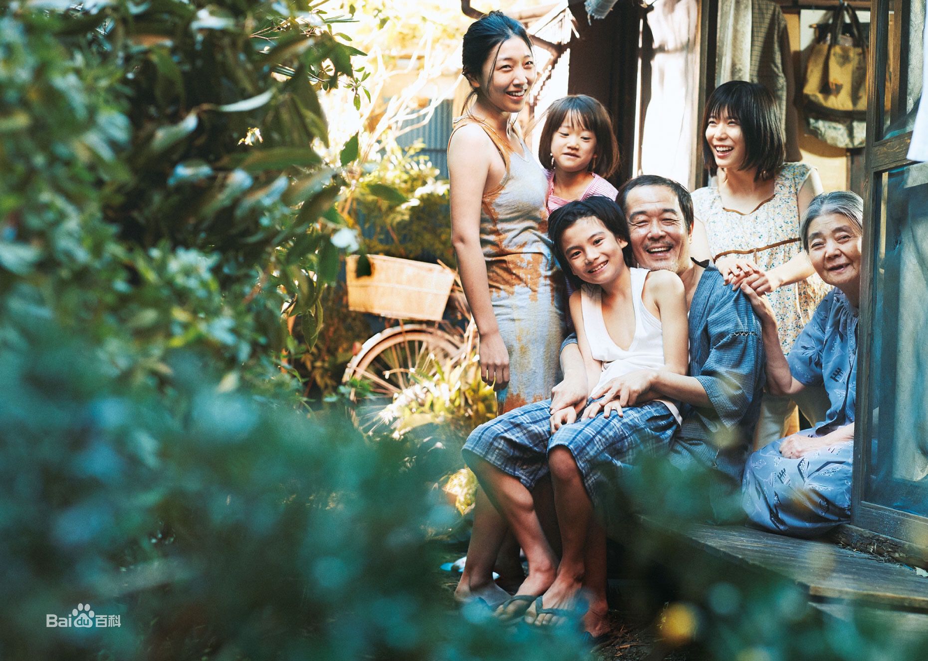 收藏最多的电视剧,收藏最多的电影