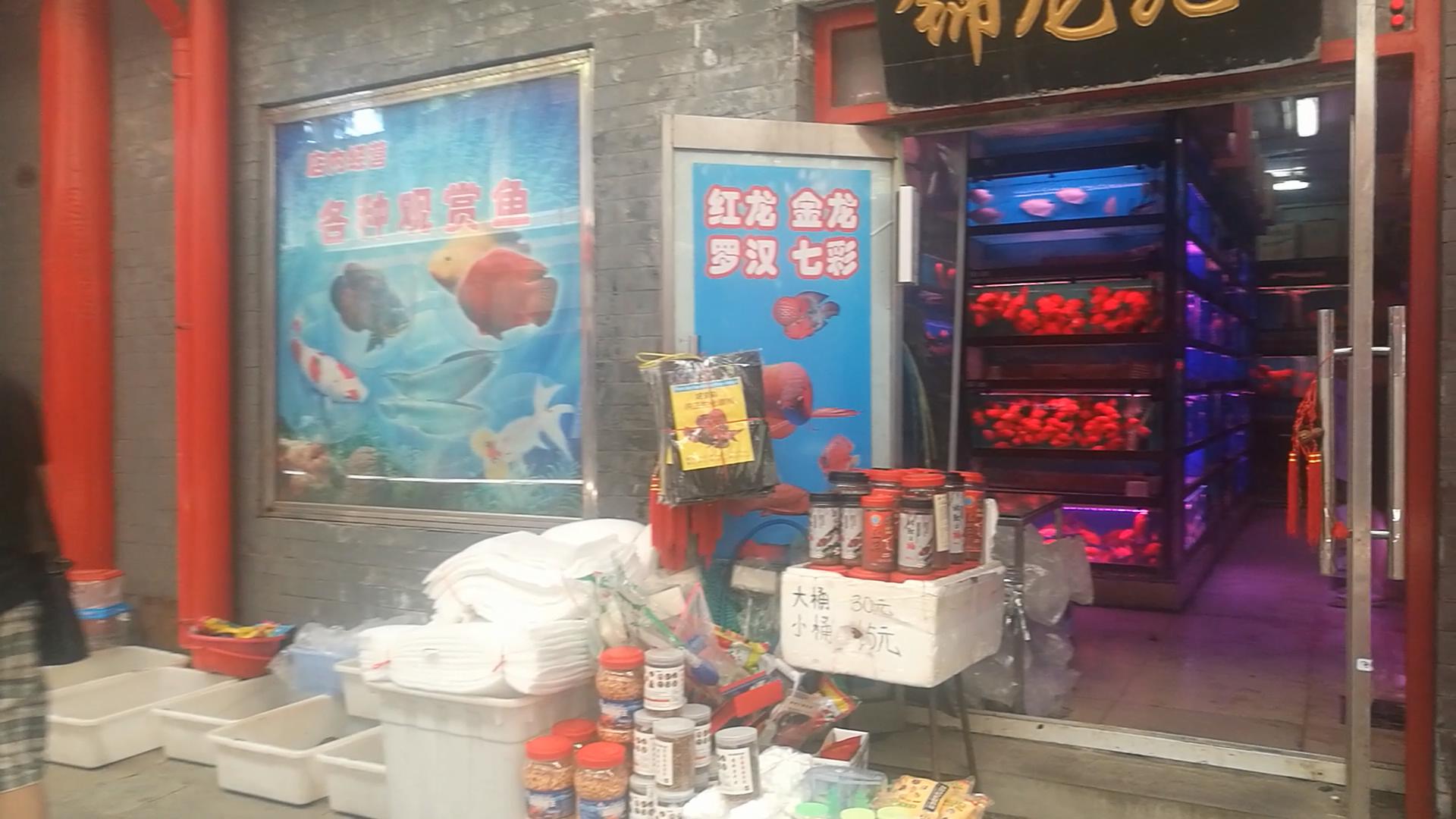 北京十里河鱼市,都说它拆了,我却看到了综合性的水族市场
