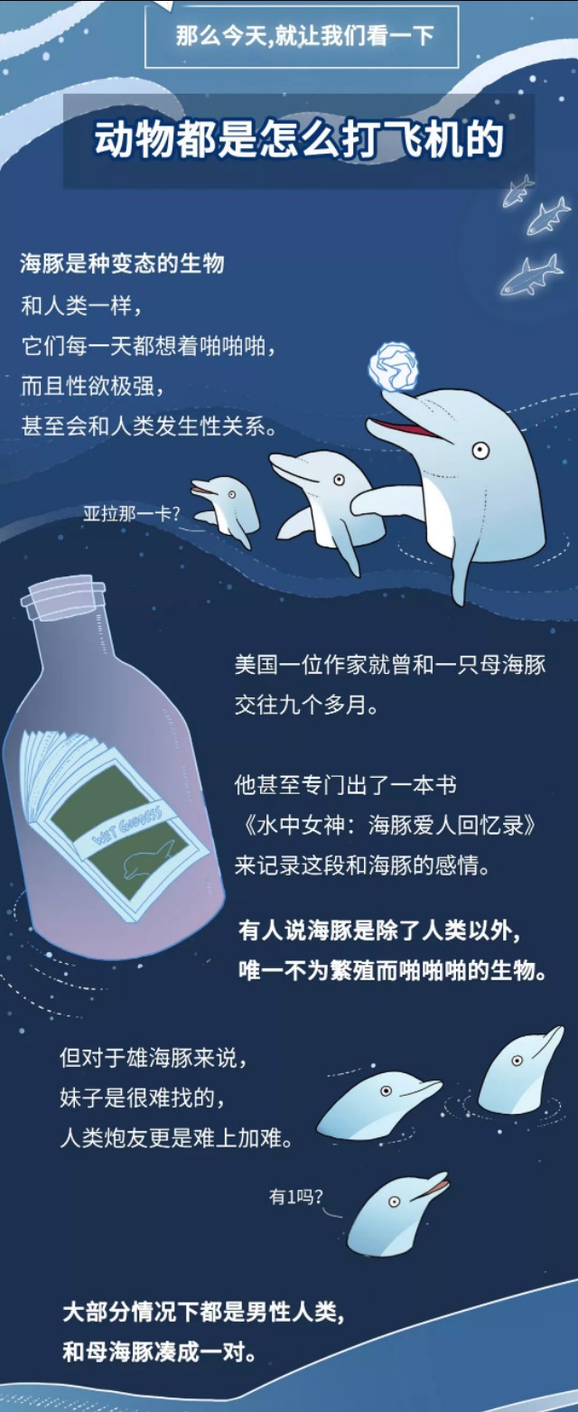 动物怎么上飞机,动物是如何乘坐飞机的