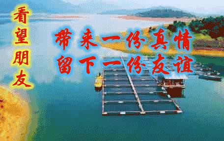 1.25,让风儿送去我的心声，让星星传递我的问候，希望你天天快乐