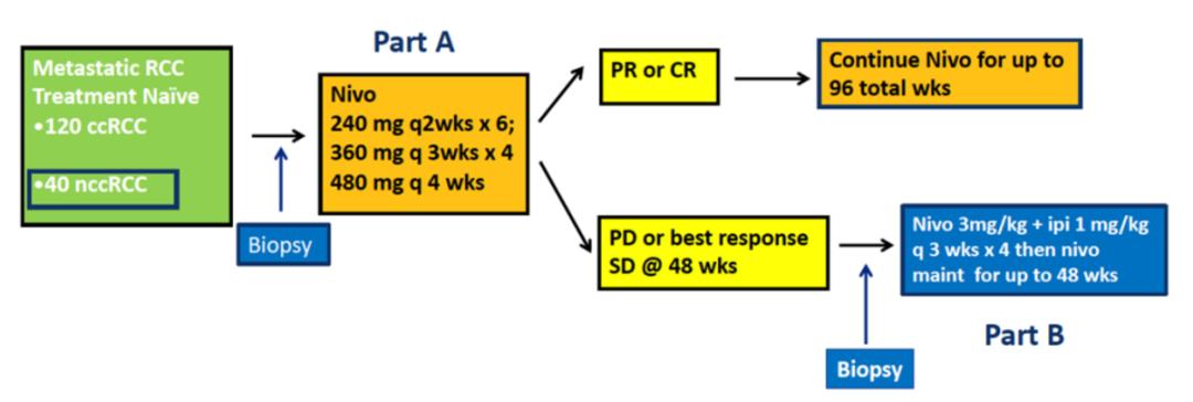 肾癌免疫治疗综述,李医生谈癌