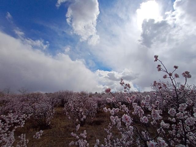 浮云电影,浮云散邓丽君原唱视频