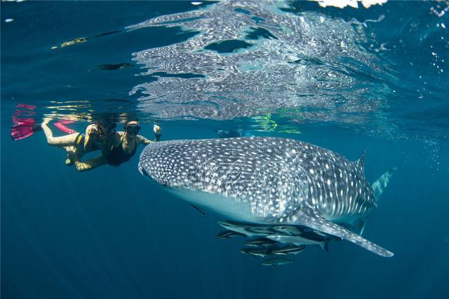 探秘泰国十大神秘景点,泰国海底潜游