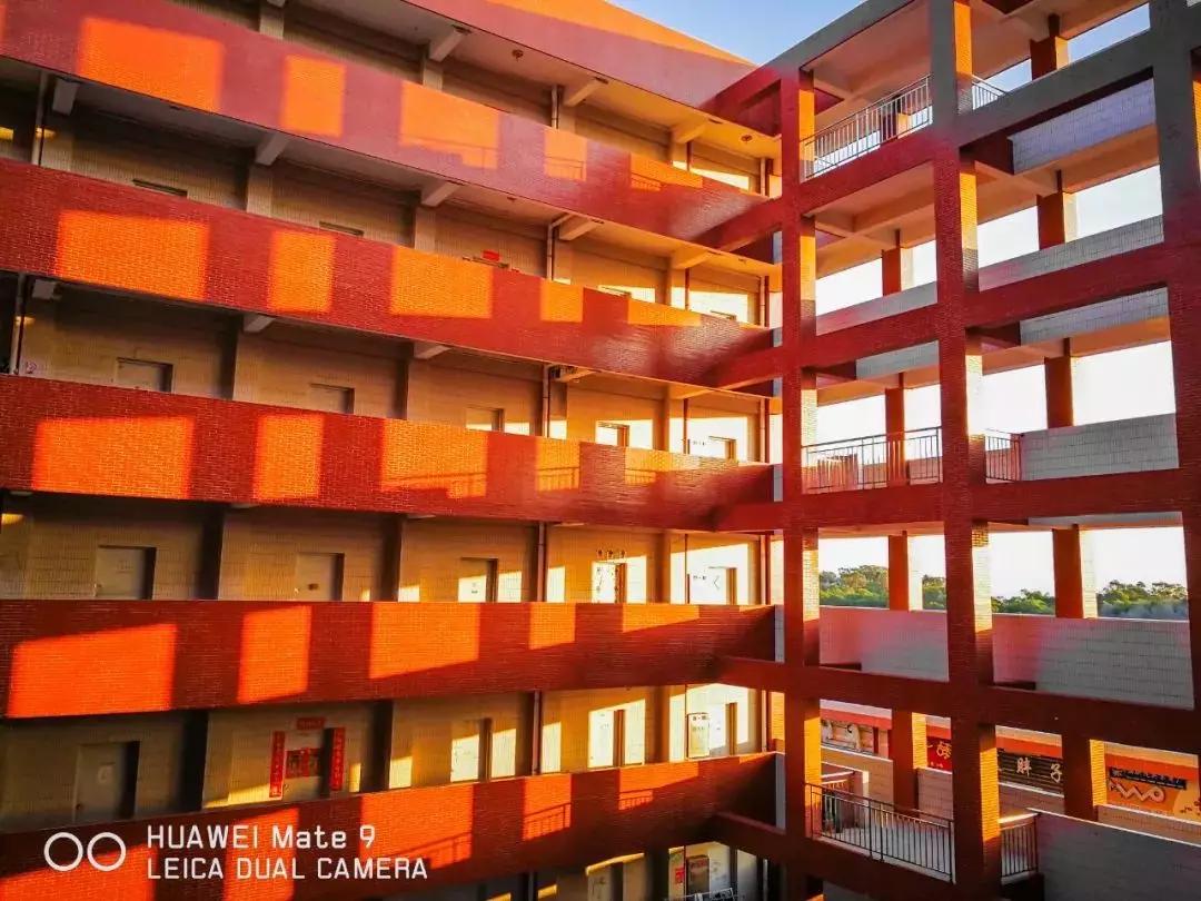 全国宿舍最好的大学宿舍图片,公办学校有哪些好宿舍