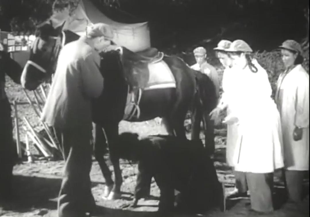 从不如牛马到翻身做主，*藏西**农奴是如何得到解放的？