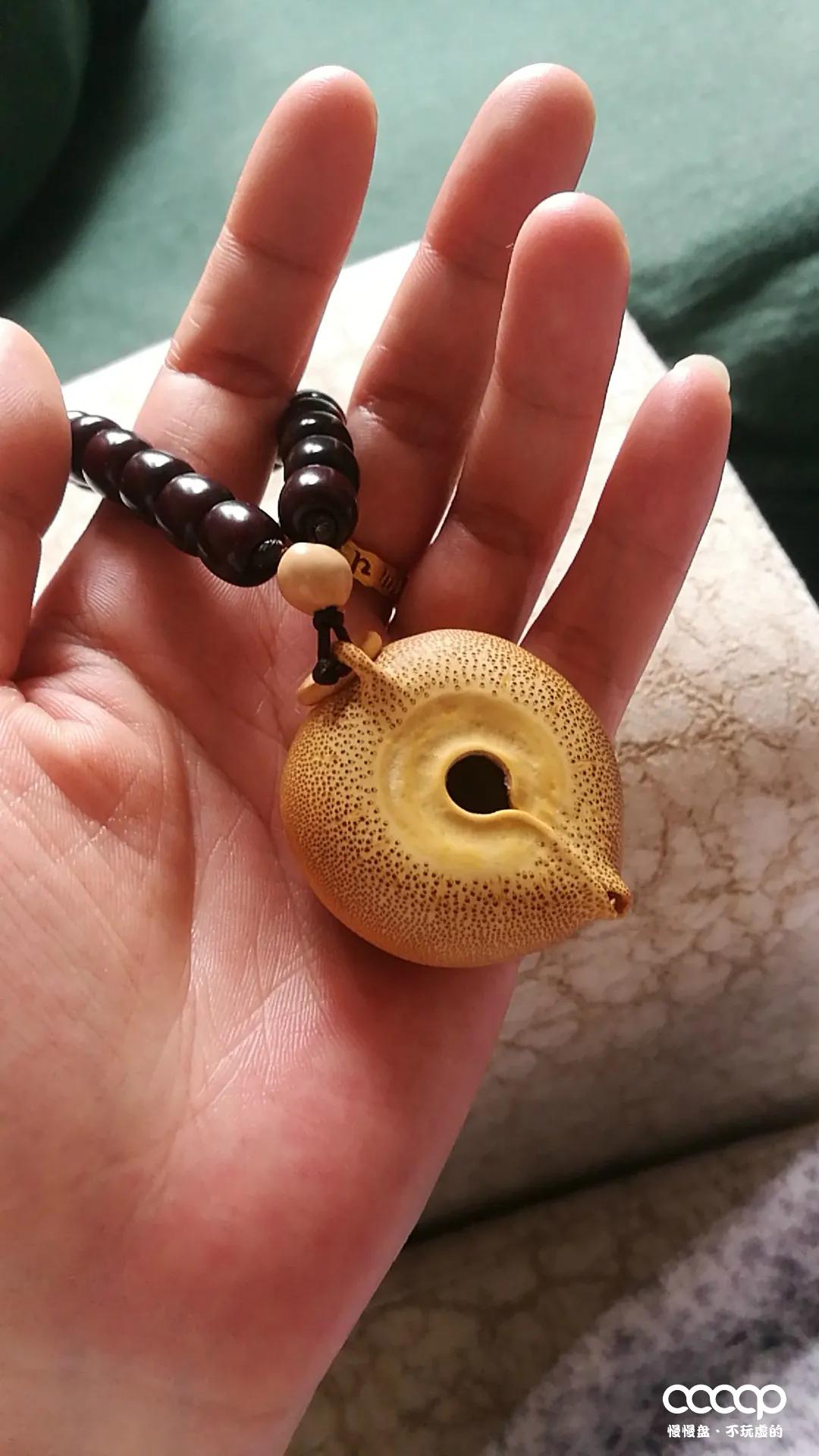 超实力派小姐姐!玩串16年,爱入骨髓,彻彻底底的包浆控