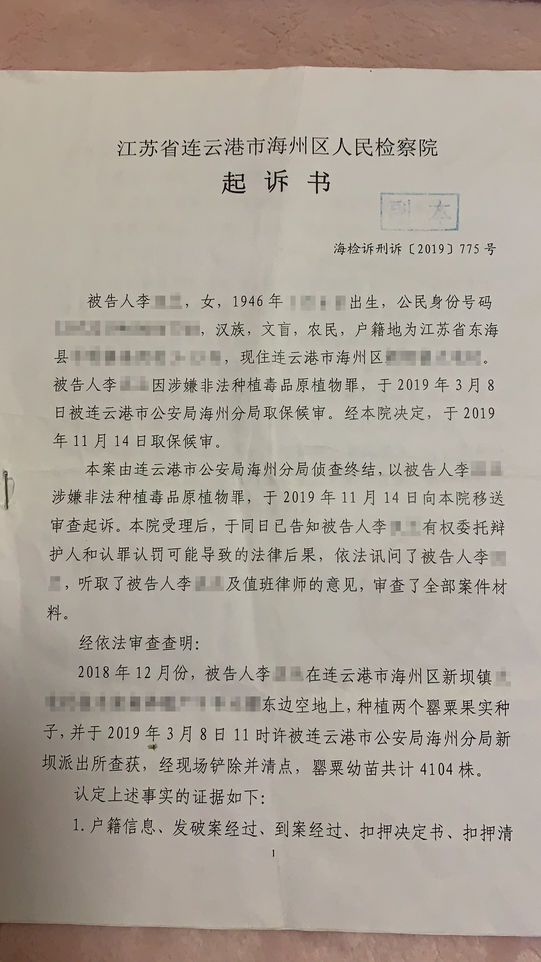 江苏7旬老人种下4千余棵*粟罂**被判5年，家属质疑量刑过重：同类案件当事人种万余棵判刑3年缓刑3年