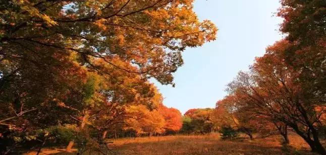 辽源冬天旅游攻略大全图片,辽源旅游攻略2-3天