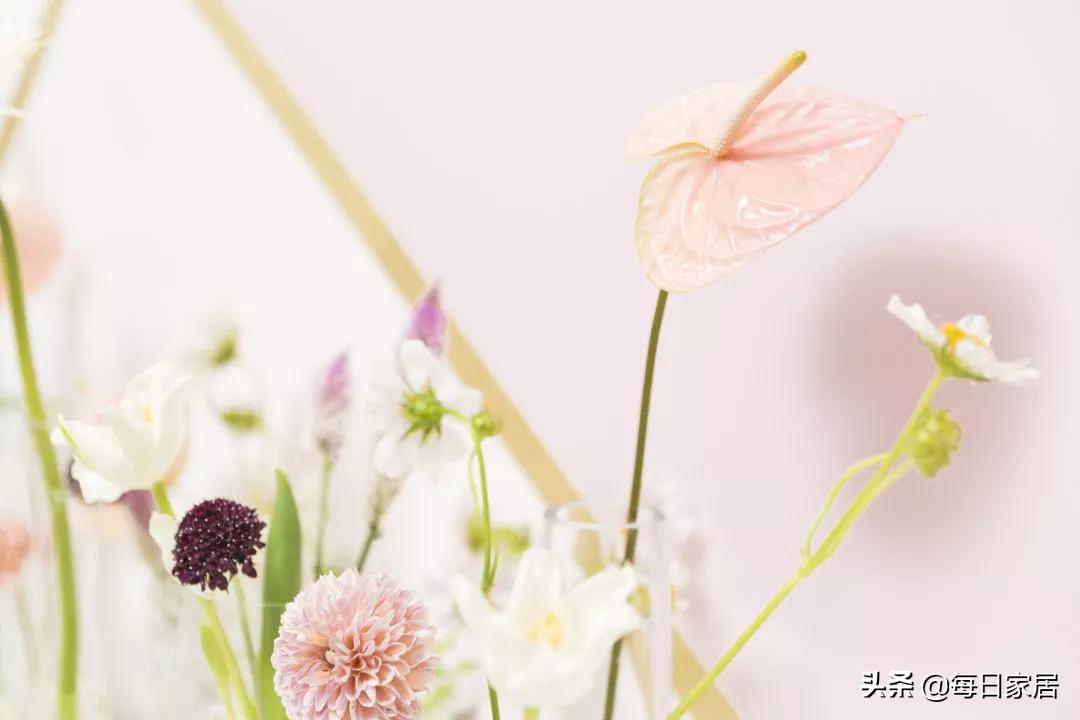 芬琳漆卧室实际效果图色号,芬琳漆卧室颜色推荐