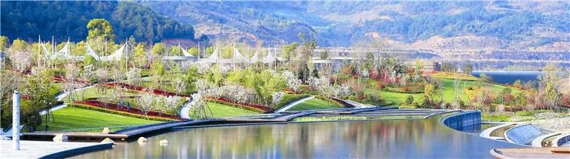 红花疏影横斜，湖瀑水天一色——千岛湖珍珠广场景观工程赏析