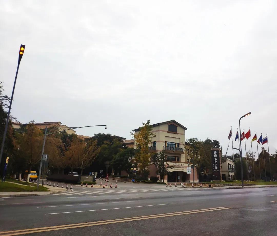 天府新区100万预算,低首付天府新区