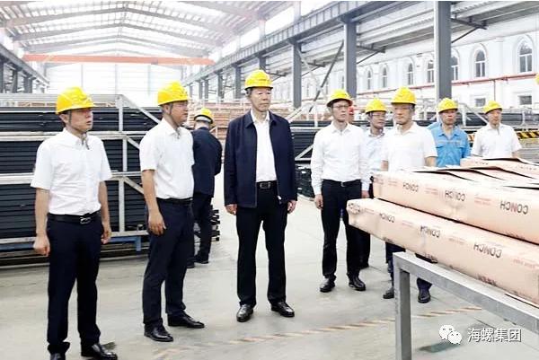 王诚调研指导海螺水泥广东区域