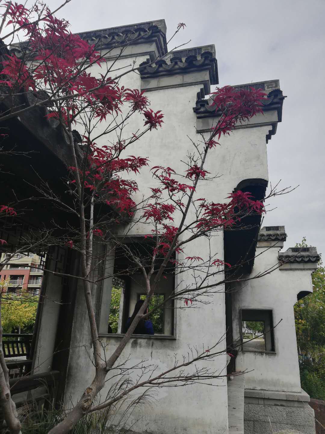 徒步无锡古运河寻找美景,无锡最美沿太湖路线