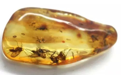 德意志联邦共和国简介（一）