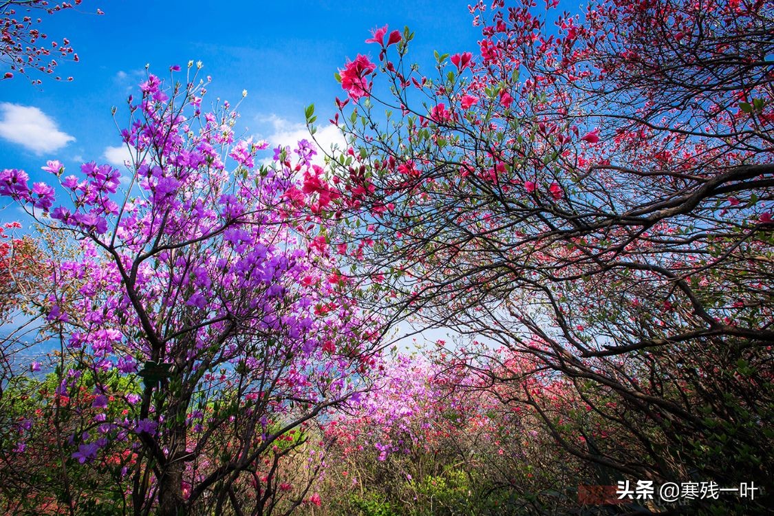 五一杭州旅游住宿最佳方案,五一旅游杭州出发3天最佳去处