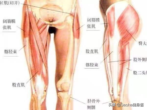 全身肌肉都痛是怎么回事,全身肌肉痛是什么病