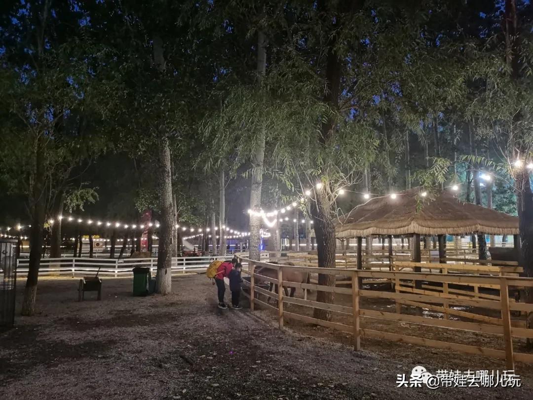 北京五环内新开萌宠乐园，除了喂动物，还能玩大滑梯、免费享帐篷