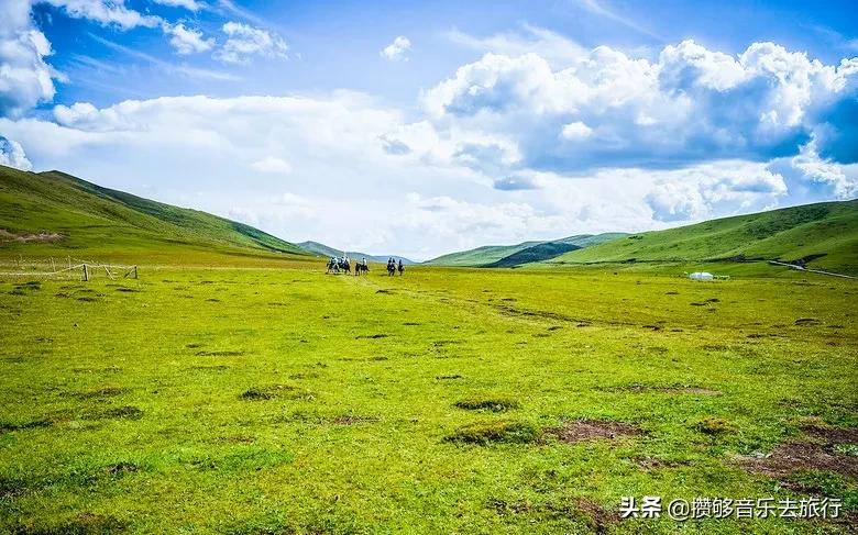 7月能去若尔盖,花湖若尔盖七月天气