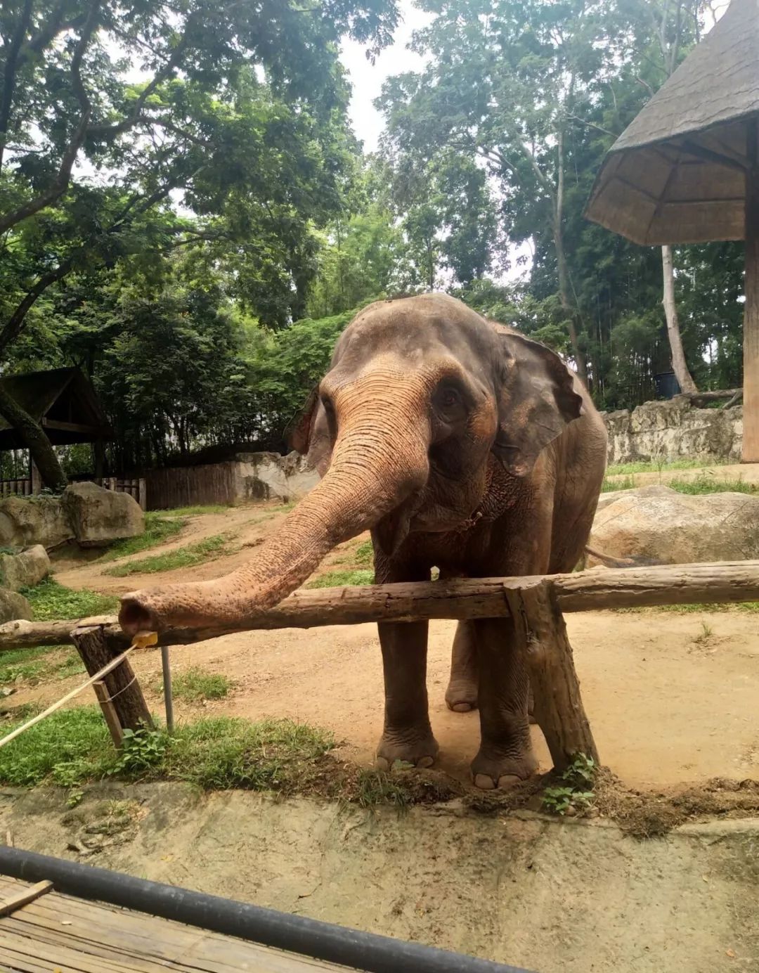 为什么现在好多人选择去泰国上学,为什么很多人选择去泰国