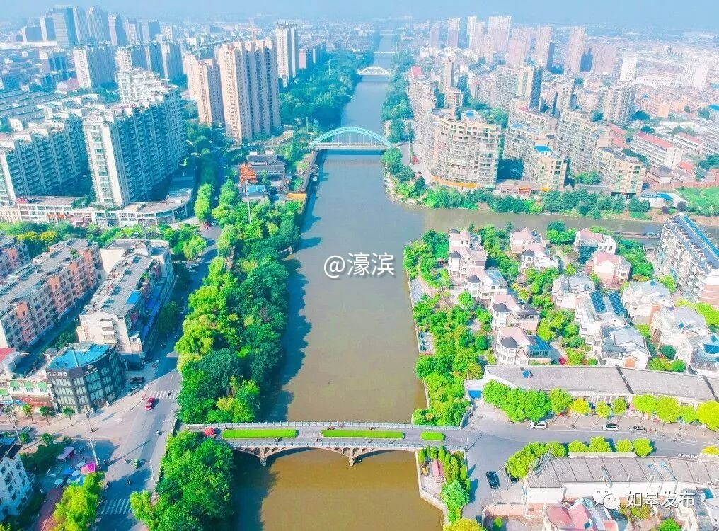 什么是如皋蝶尾,如皋的特点