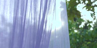 娶妻当娶李子柒小说作品列表,娶妻当娶李子柒前一句是啥