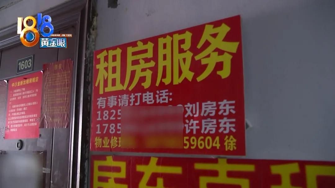 租房子蟑螂太多不想租了怎么办,租房蟑螂多和房东退房如何说