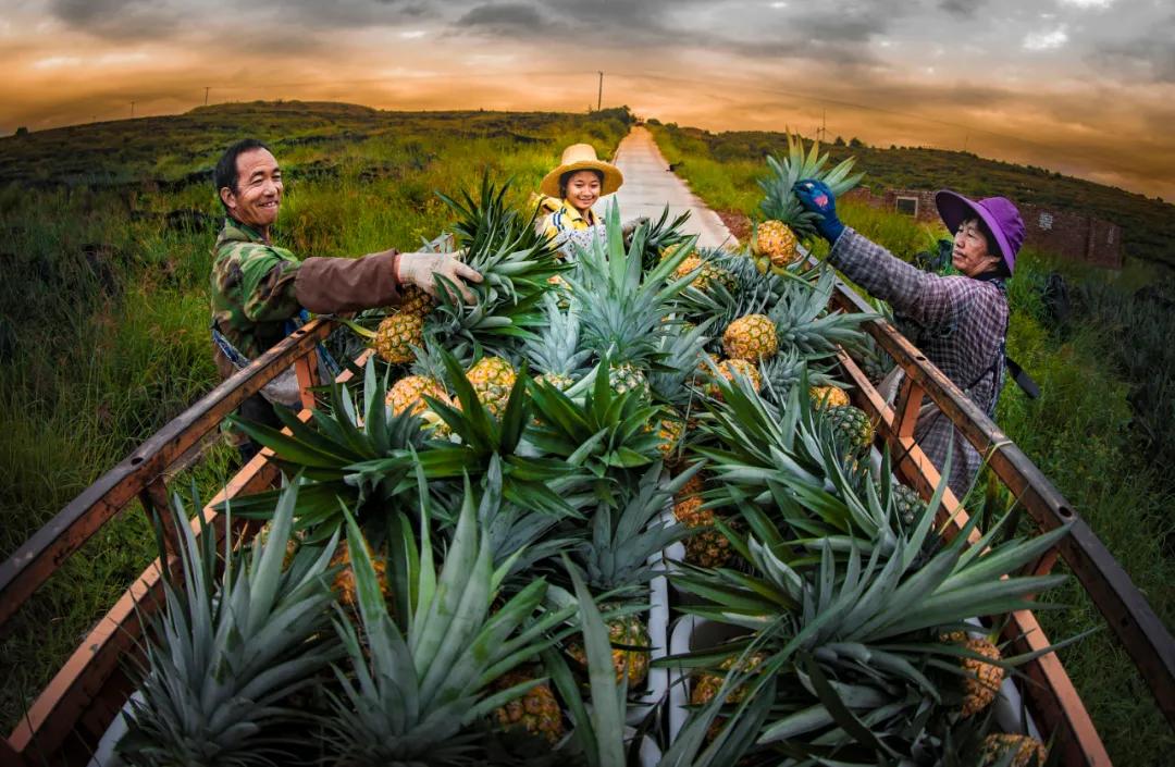 吃货们有福啦 ! 攀枝花承包了你一年的甜蜜……