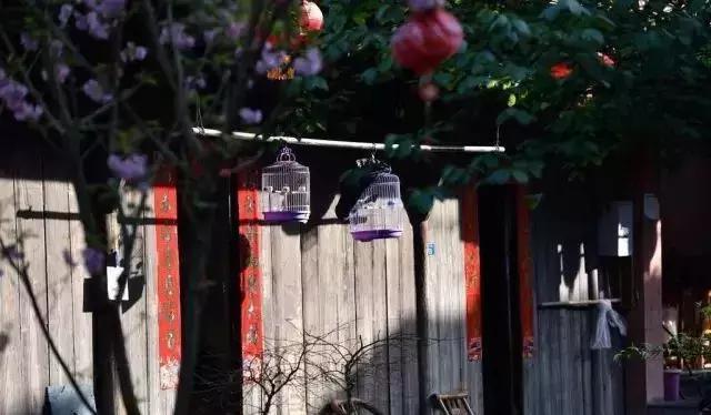 2天1夜旅游攻略成都耍雪,成都周边耍雪一日游攻略